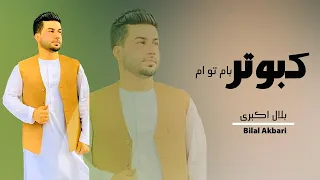 Bilal Akbari Song | Kabotare Bame Toham | بلال اکبری، آهنگ کبوتری بام تو ام