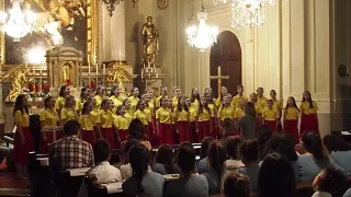 Sing'n'Joy Vienna 2018   Старший хор ДМХШ "Пионерия" им. Г.А.Струве