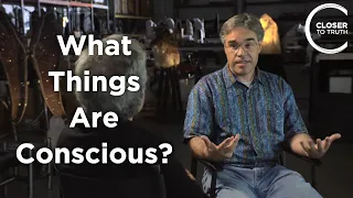 Eric Schwitzgebel - What Things are Conscious?