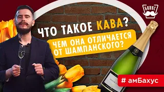 Что такое кава и чем она отличается от шампанского? + Поздравление с 8 Марта