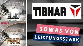 Welcher Tibhar Belag ist der Beste?