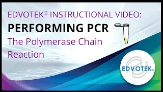 Performing the Polymerase Chain Reaction (PCR) - Edvotek Video Tutorial