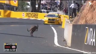 Bathurst vs. Kangaroos