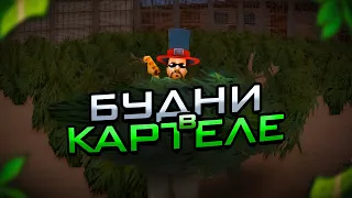 🔥 ВПЕРВЫЕ УЧАСТВУЮ на ЦВАРЕ ! БУДНИ в КАРТЕЛЕ !