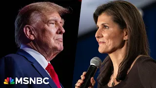 Nicolle Wallace: Nikki Haley appeals to voters by being the 'kinder, softer, gentler' GOP candidate
