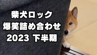 【詰め合わせ②】2023年下半期の柴犬ロック。人気動画集