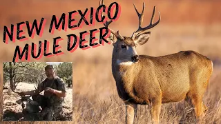 New Mexico Mule Deer