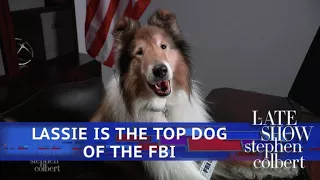 'Lassie' Returns To Television As The Top Dog In The Russia Investigation