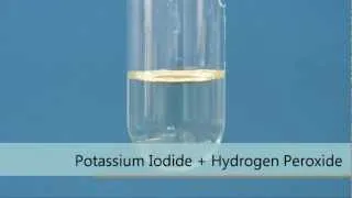 Potassium Iodide + Hydrogen Peroxide