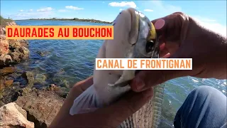 DAURADES au BOUCHON dans le CANAL de FRONTIGNAN