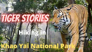 True Stories of Wild Tigers at Khao Yai National Park Thailand - Khao Yai Part 1 - Hiking on Trail 5