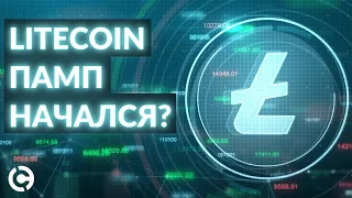 Litecoin прогноз на декабрь 2021 | Памп начался?