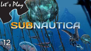 Poke Every Rock | Let's Play: Subnautica - Episode 12