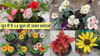 June में ये 13 फूलों के पोधे ज़रूर लगायें || June-July Summer Flowering Plants