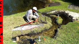 CAN'T STOP Smart PET FISH from BREAKING FREE From POND BUILD'S NEW CONTAINMENT STRUCTURES!