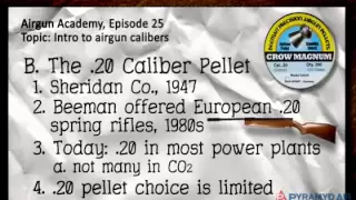 Airgun Academy Episode 25 - Pellets, pellets, pellets