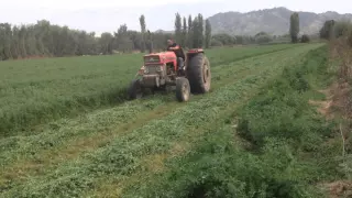 Massey ferguson 178 año 1972