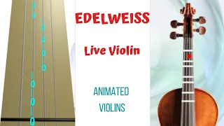 EDELWEISS - ANIMATED Violins  - LIVE VIOLIN - Violin tutorial/cover - Play along