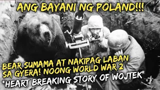 Ang Bear Na Nakipag laban Noong WW2, BAYANI NG Poland, "Heart Breaking Story Of Wojtek" |DMS TV|