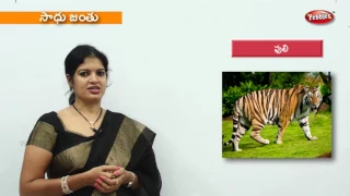 Learn Animals  in Telugu | Preschool Videos | Kids Educational Videos | Toddlers Learning Video