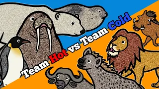 Hot or Cold? | Learn About Wild Animals Living In Hot African Savanna and Cold Arctic & Antarctica