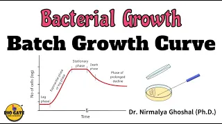 Phases of Bacterial Growth Curve #microbiology #growth #bacteriology