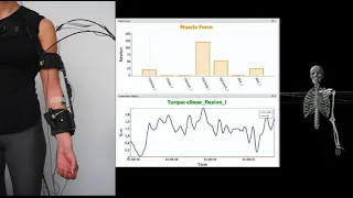 Adaptive Model-Based Myoelectric Control for a Soft Arm Exosuit