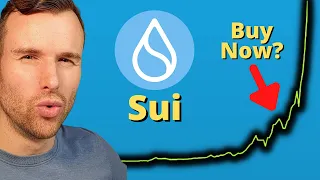Many things to like about Sui... but... ⚠️ Crypto Token Analysis