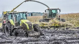 Mudslinging with John Deere tractors | chopping maize in the mud | Claas Jaguar