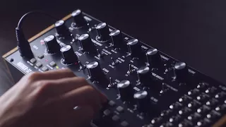 Moog Mother 32 - Plucking Synth Song