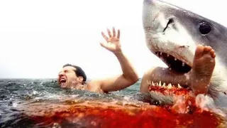 10 Worst Shark Attacks Ever Caught On Camera