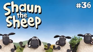 The Visitor | Shaun the Sheep Season 1 | Full Episode