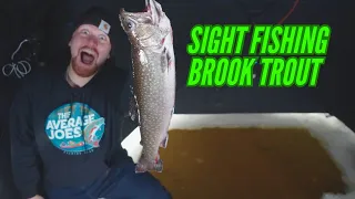 Shallow Water Sight Fishing Trout - First Ice Fishing Ontario 2023