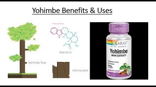 Yohimbe Bark - Yohimbine HCL Benefits, Risks & Side Effects