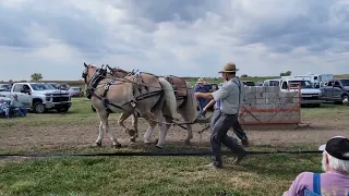 2023 Amish Draft Horse Pull Daviess Day 1