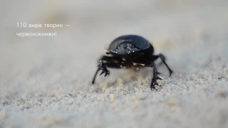 Національний природний парк "Джарилгацький": острів Джарилгач