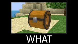 Wait What Minecraft Meme - part 263