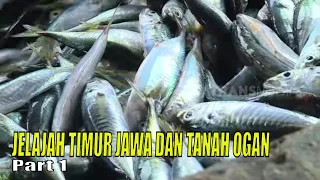 JELAJAH TIMUR JAWA DAN TANAH OGAN | JEJAK PETUALANG (18/10/23) Part 1