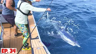 Big Mako Shark by catch. Cut Him Loose!