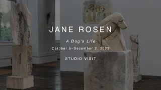 Jane Rosen | A Dog's Life | Studio Visit | Oct/Nov 23