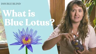 What is Blue Lotus? 🪷 | DoubleBlind