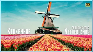 Explore The Garden Of Europe: Keukenhof In Netherlands - 4k Walking Tour