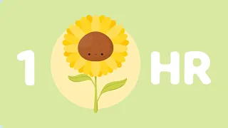sunflower 🌻 (1 hour) : cute music