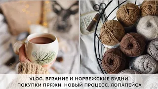 VLOG 61/2020 | ЧТО ВЯЖУ? | НОРВЕЖСКАЯ ЛОПАПЕЙСА | ПОКУПКИ ПРЯЖИ DROPS LIMA И DONEGAL TWEED