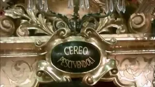 Cereo Pescivendoli Festeggiamenti Mercato Maas 30/01/2016 (HD)