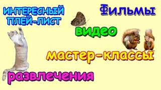 Семья Бровченко. Обзор интересных видео на канале. Интересный плей - лист. (07.16г.)