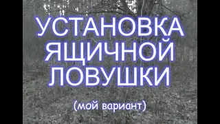 Вариант установки ящичной ловушки на куницу, соболя, хоря...