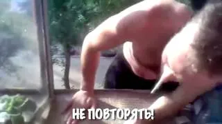 +100500 Узбогойся