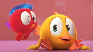 Where's Chicky? Funny Chicky 2023 | FLYING BUDDY | Cartoon in English for Kids | New episodes