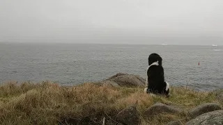 Dethan meditates to the sounds of the sea